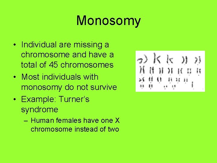 Monosomy • Individual are missing a chromosome and have a total of 45 chromosomes