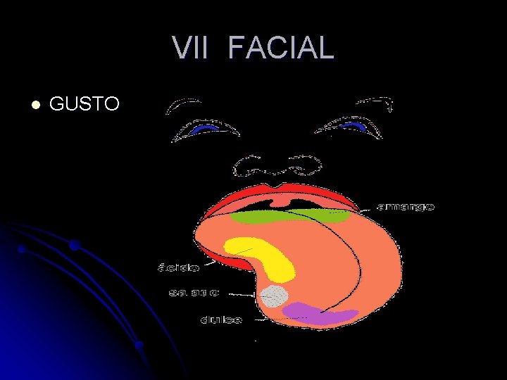 VII FACIAL l GUSTO 