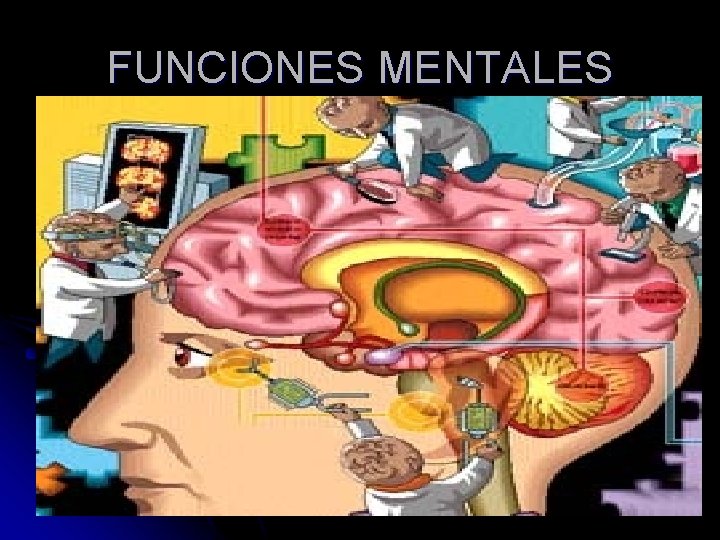 FUNCIONES MENTALES 