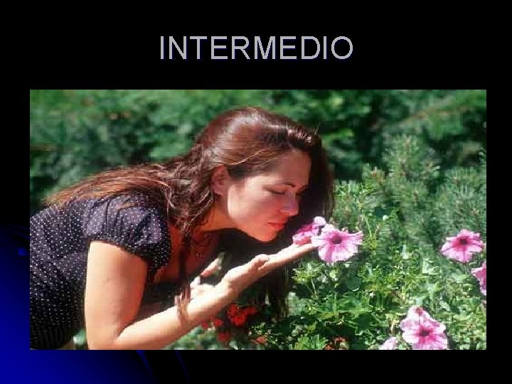 INTERMEDIO 