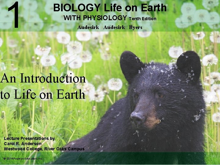 1 BIOLOGY Life on Earth WITH PHYSIOLOGY Tenth Edition Audesirk Byers An Introduction to