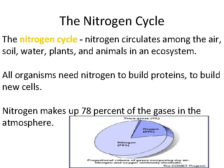 The Nitrogen Cycle The nitrogen cycle - nitrogen circulates among the air, soil, water,