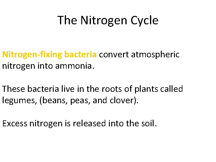 The Nitrogen Cycle Nitrogen-fixing bacteria convert atmospheric nitrogen into ammonia. These bacteria live in