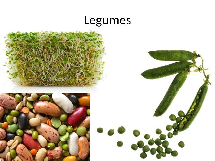 Legumes 