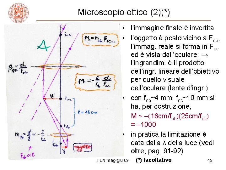 Microscopio ottico (2)(*) • l’immagine finale è invertita • l’oggetto è posto vicino a