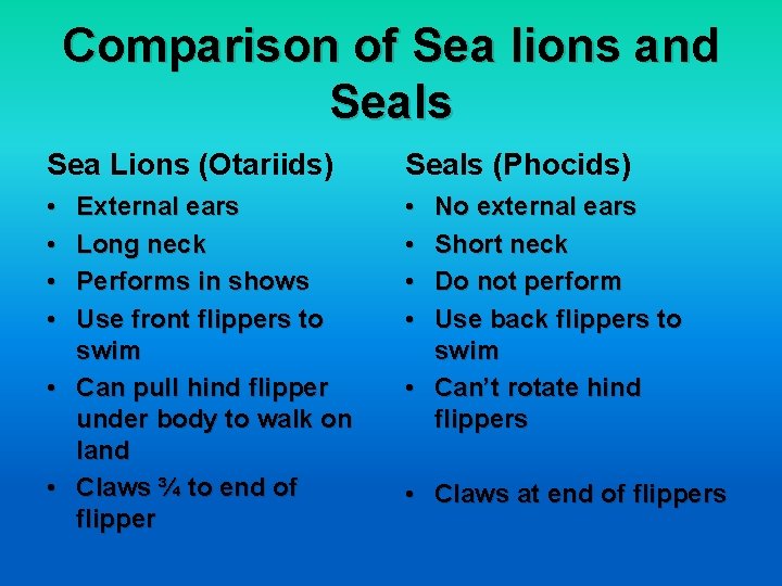 Comparison of Sea lions and Seals Sea Lions (Otariids) Seals (Phocids) • • External