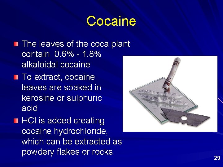 Cocaine The leaves of the coca plant contain 0. 6% - 1. 8% alkaloidal