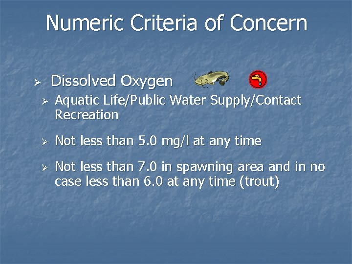 Numeric Criteria of Concern Ø Ø Dissolved Oxygen Aquatic Life/Public Water Supply/Contact Recreation Not