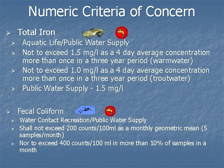 Numeric Criteria of Concern Total Iron Ø Ø Ø Aquatic Life/Public Water Supply Not