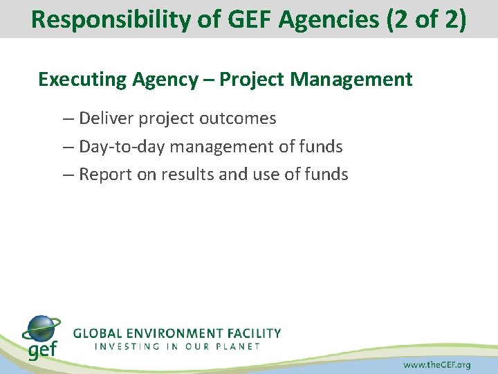 Responsibility of GEF Agencies (2 of 2) Executing Agency – Project Management – Deliver