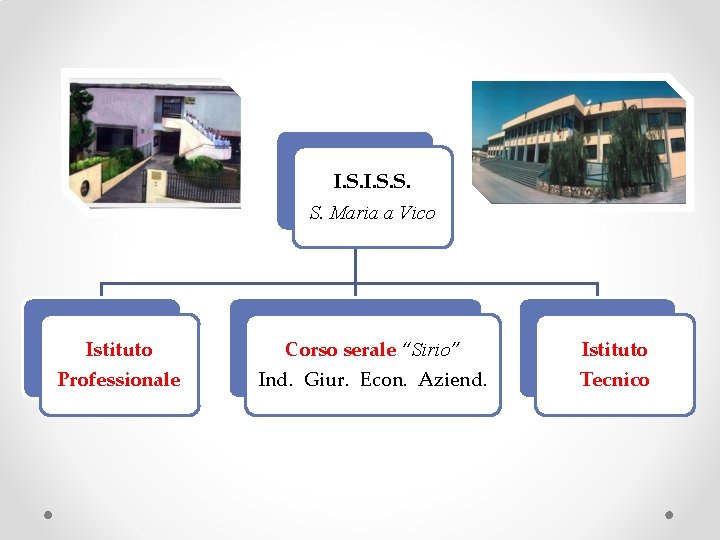 I. S. S. S. Maria a Vico Istituto Professionale Corso serale “Sirio” Ind. Giur.