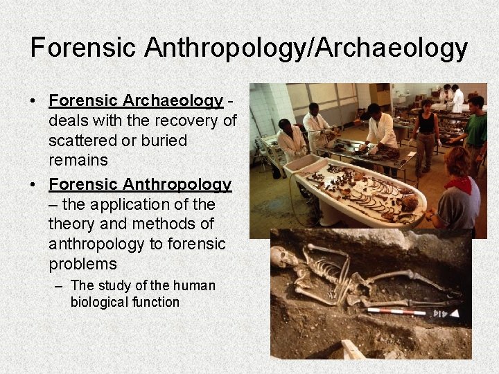 Forensic Anthropology/Archaeology • Forensic Archaeology deals with the recovery of scattered or buried remains