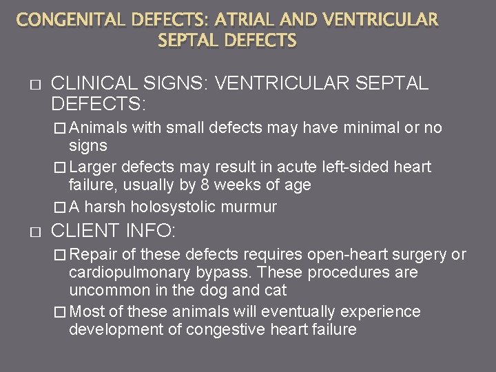 CONGENITAL DEFECTS: ATRIAL AND VENTRICULAR SEPTAL DEFECTS � CLINICAL SIGNS: VENTRICULAR SEPTAL DEFECTS: �