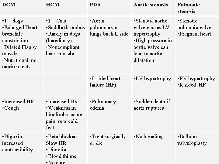 DCM HCM PDA Aortic stenosis Pulmonic stenosis • 1 – dogs • Enlarged Heart