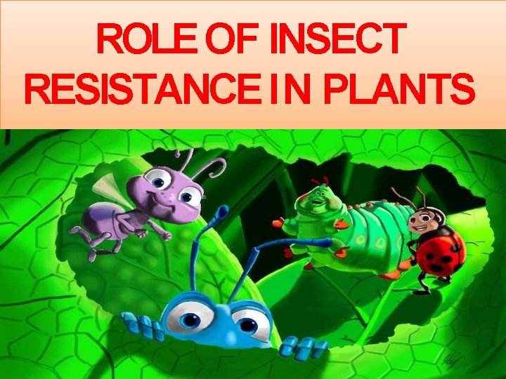ROLE OF INSECT RESISTANCE IN PLANTS INTRODUCTION Like