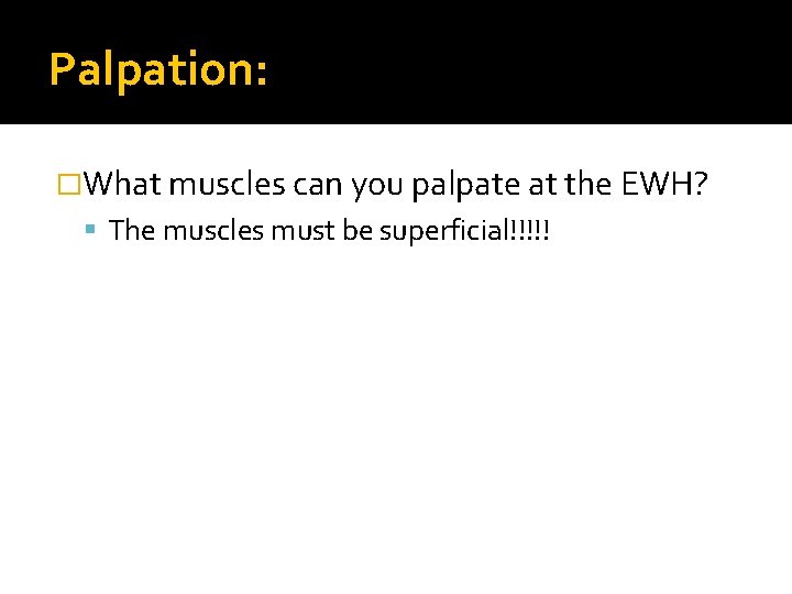 Palpation: �What muscles can you palpate at the EWH? The muscles must be superficial!!!!!