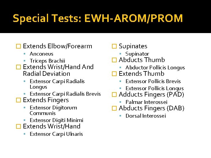 Special Tests: EWH-AROM/PROM � Extends Elbow/Forearm Anconeus Triceps Brachii � Extends Wrist/Hand And Radial