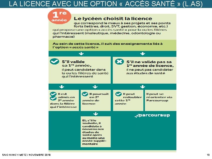 LA LICENCE AVEC UNE OPTION « ACCÈS SANTÉ » (L. AS) SAIO NANCY-METZ /