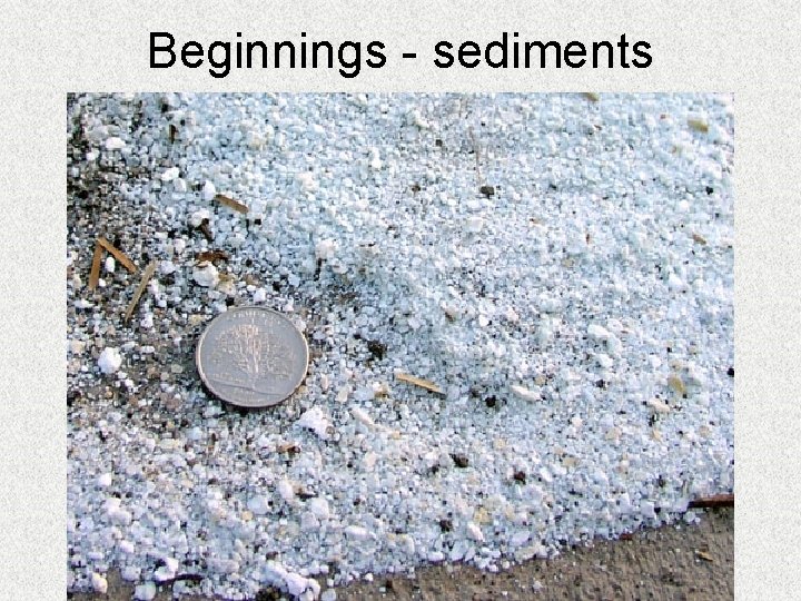 Beginnings - sediments 