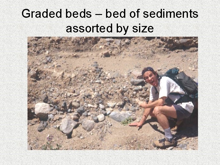 Graded beds – bed of sediments assorted by size 