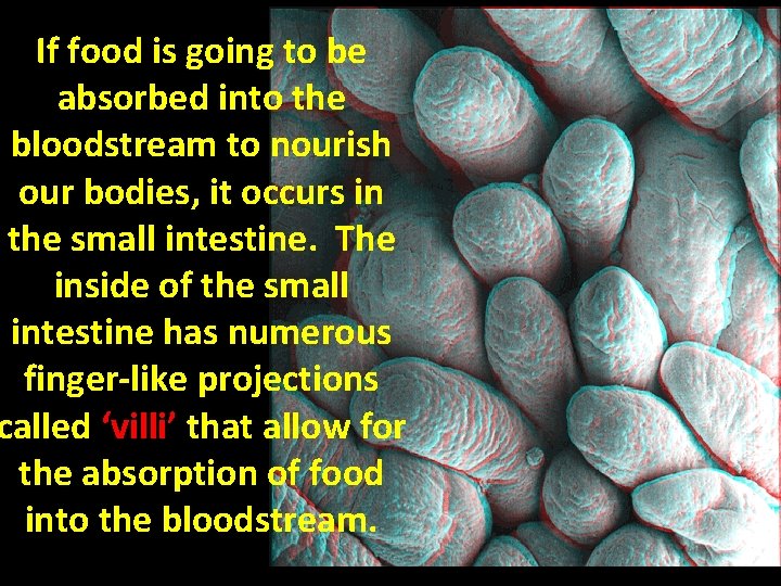 If food is going to be absorbed into the bloodstream to nourish our bodies,