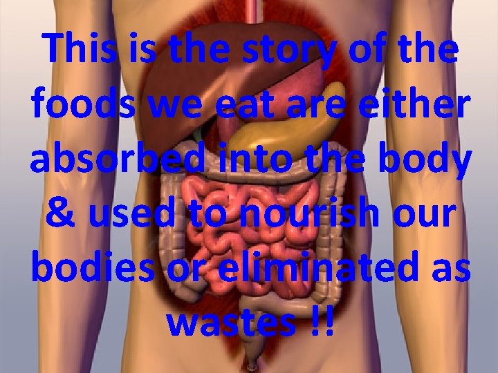 This is the story of the foods we eat are either absorbed into the