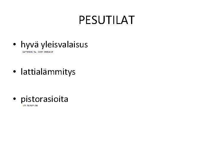 PESUTILAT • hyvä yleisvalaisus • lattialämmitys • pistorasioita 