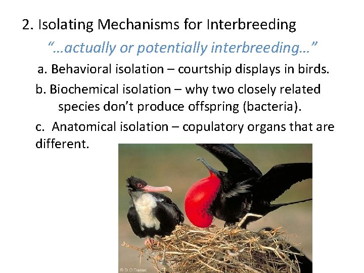 2. Isolating Mechanisms for Interbreeding “…actually or potentially interbreeding…” a. Behavioral isolation – courtship