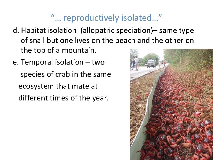 “… reproductively isolated…” d. Habitat isolation (allopatric speciation)– same type of snail but one
