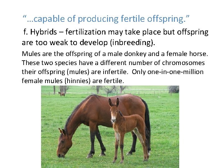 “…capable of producing fertile offspring. ” f. Hybrids – fertilization may take place but