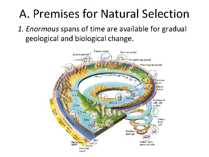 A. Premises for Natural Selection 1. Enormous spans of time are available for gradual