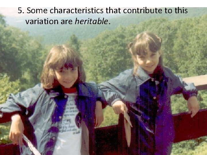 5. Some characteristics that contribute to this variation are heritable. 