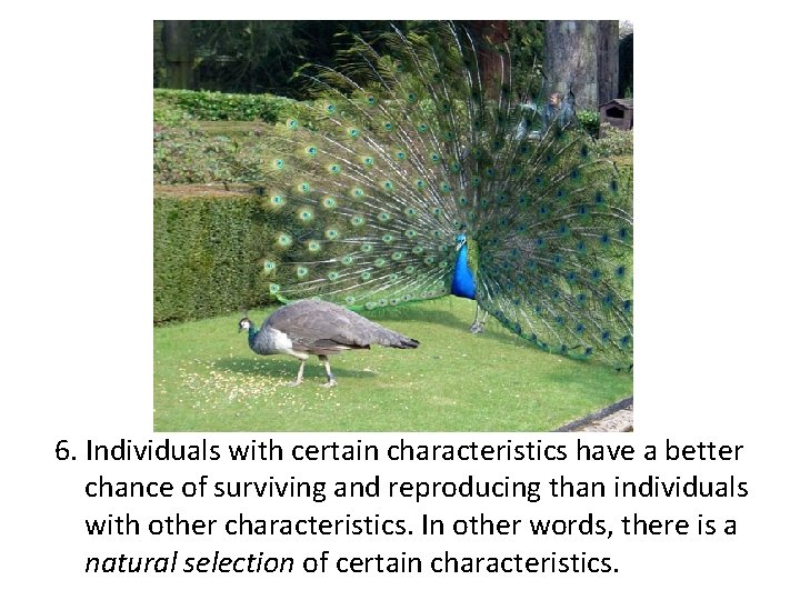 6. Individuals with certain characteristics have a better chance of surviving and reproducing than