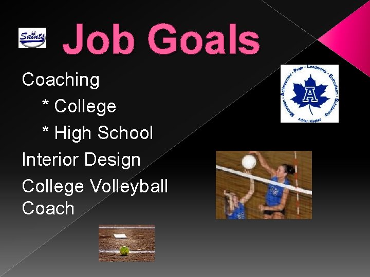 Job Goals Coaching * College * High School Interior Design College Volleyball Coach 