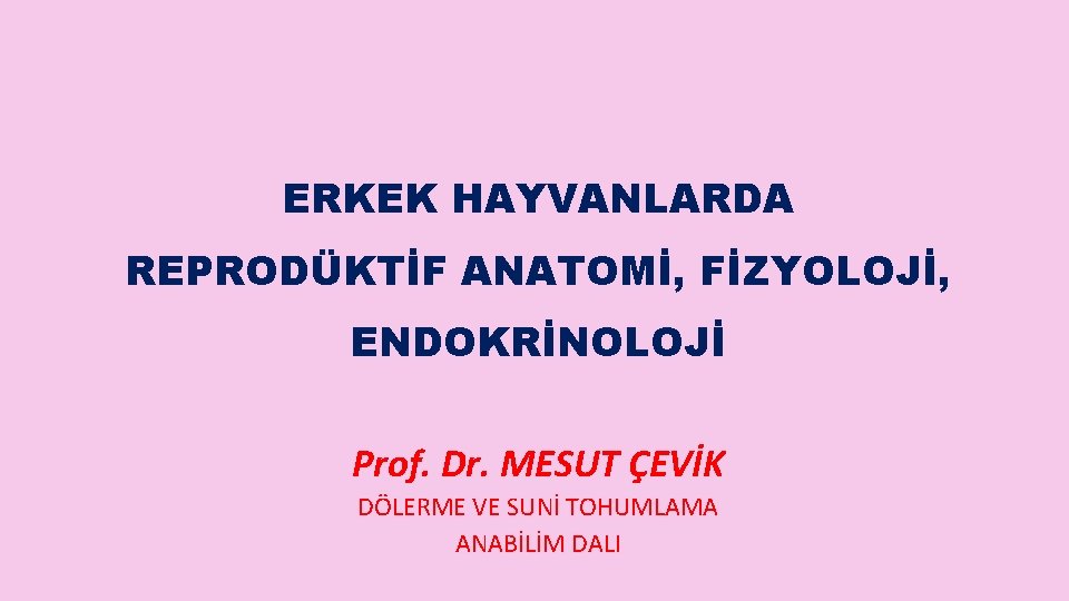 ERKEK HAYVANLARDA REPRODÜKTİF ANATOMİ, FİZYOLOJİ, ENDOKRİNOLOJİ Prof. Dr. MESUT ÇEVİK DÖLERME VE SUNİ TOHUMLAMA