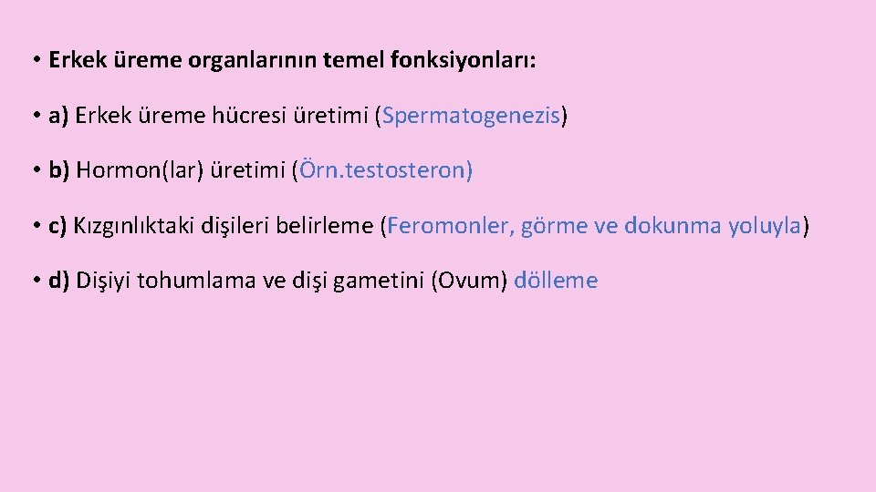  • Erkek üreme organlarının temel fonksiyonları: • a) Erkek üreme hücresi üretimi (Spermatogenezis)