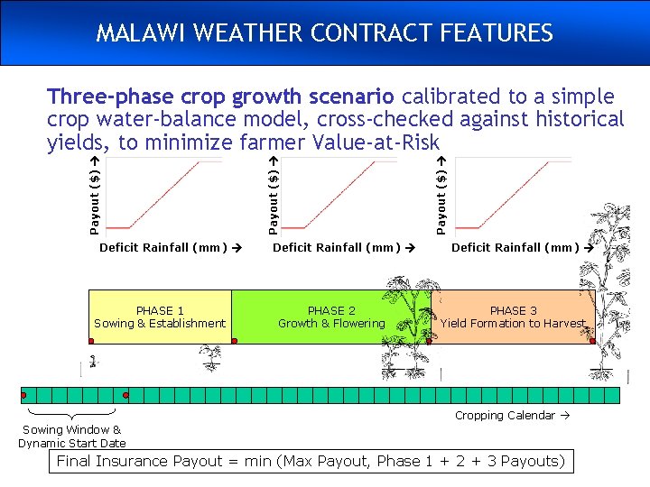 DEVELOPING A PROGRAM MALAWI WEATHER CONTRACT FEATURES Deficit Rainfall (mm) PHASE 1 Sowing &