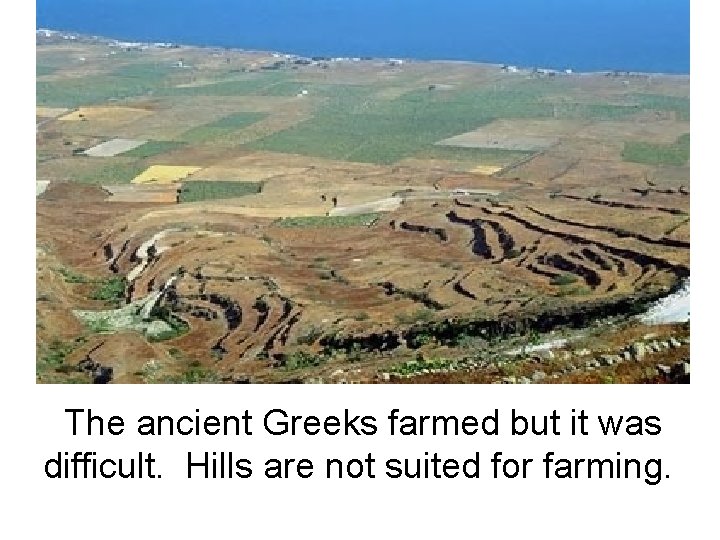 The ancient Greeks farmed but it was difficult. Hills are not suited for farming.
