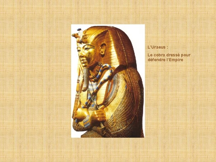 L’Uraeus : Le cobra dressé pour défendre l’Empire 