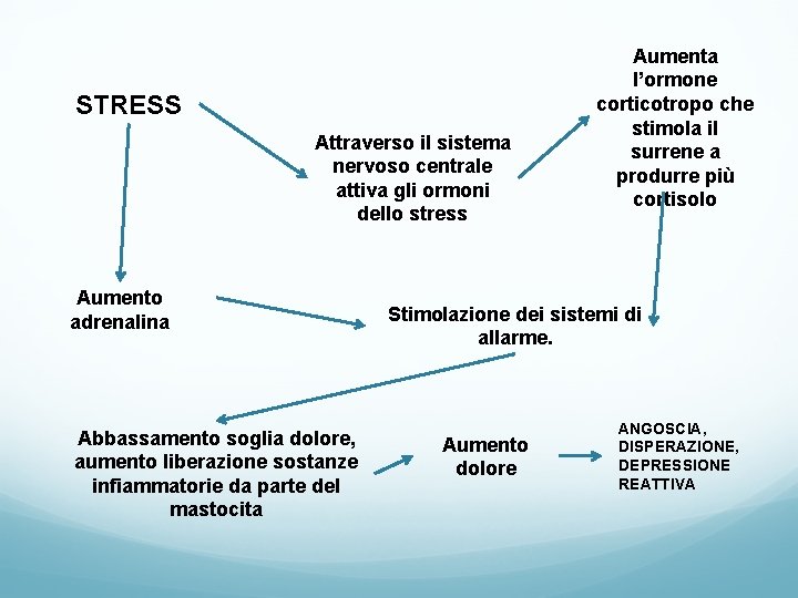 STRESS Attraverso il sistema nervoso centrale attiva gli ormoni dello stress Aumento adrenalina Abbassamento