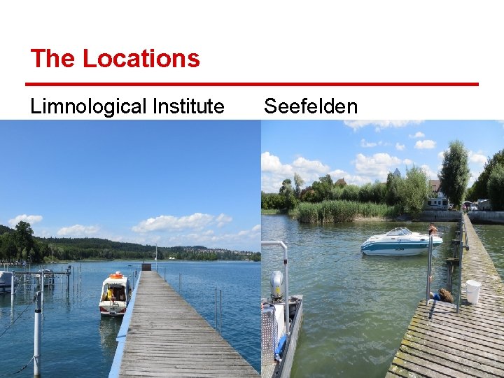 The Locations Limnological lnstitute Seefelden 