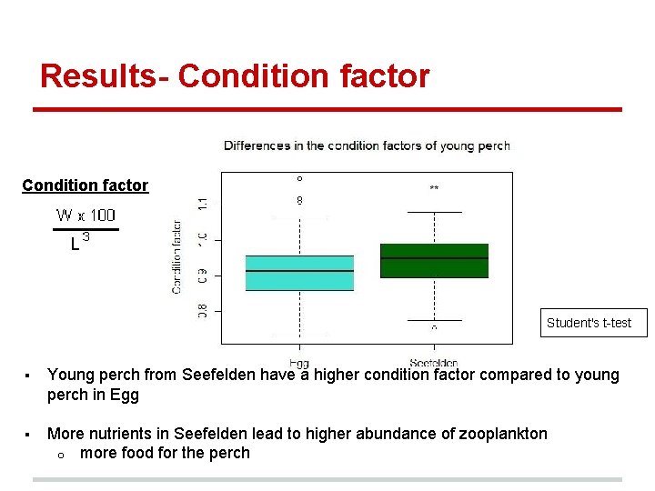 Results- Condition factor Student's t-test § Young perch from Seefelden have a higher condition