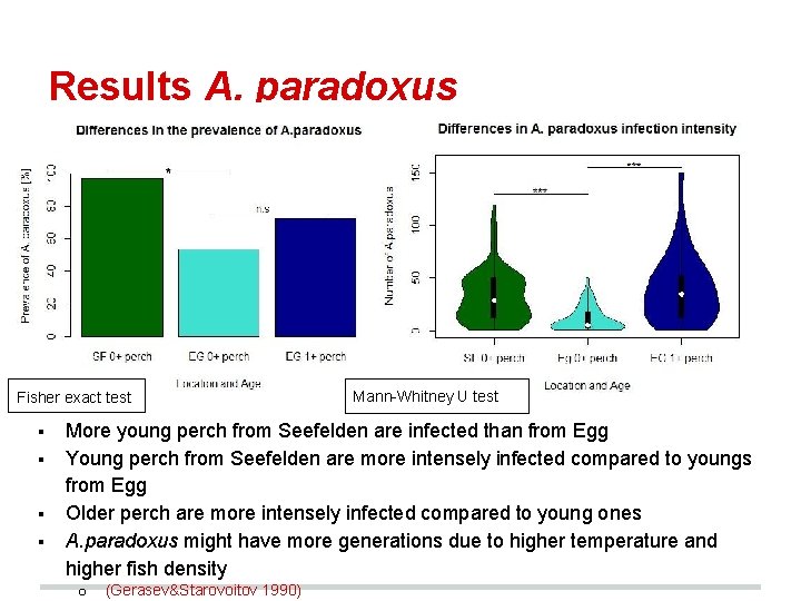 Results A. paradoxus Fisher exact test § § Mann-Whitney U test More young perch