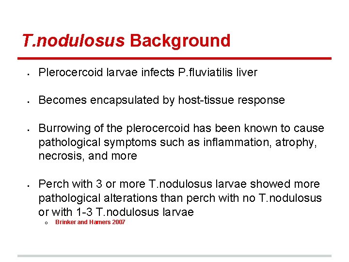 T. nodulosus Background § Plerocercoid larvae infects P. fluviatilis liver § Becomes encapsulated by