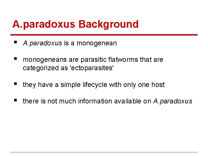 A. paradoxus Background § A. paradoxus is a monogenean § monogeneans are parasitic flatworms