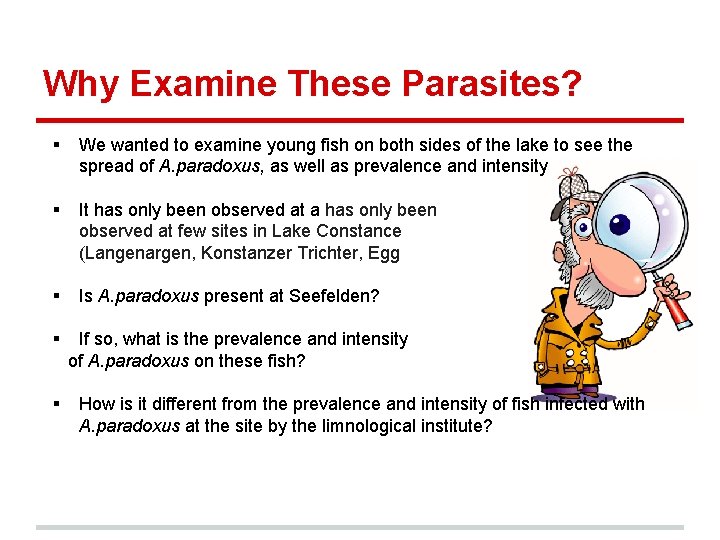 Why Examine These Parasites? § We wanted to examine young fish on both sides