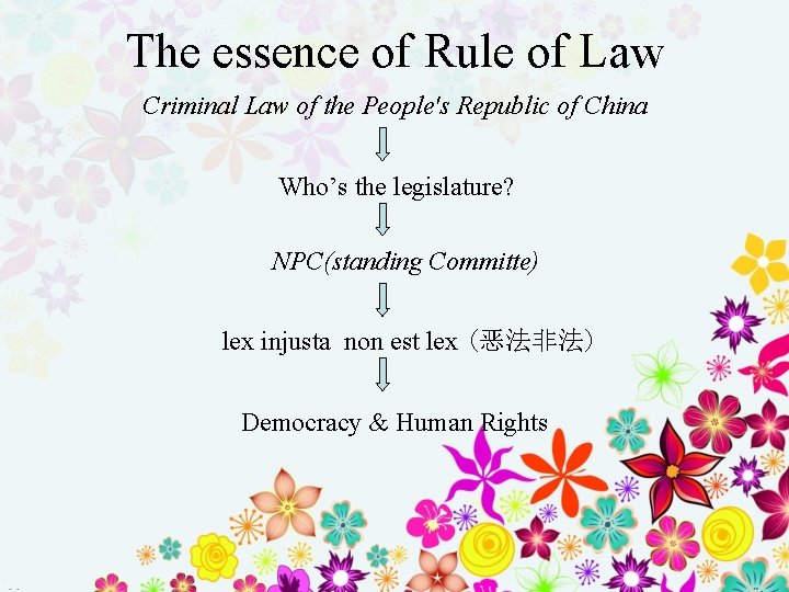 The essence of Rule of Law Criminal Law of the People's Republic of China