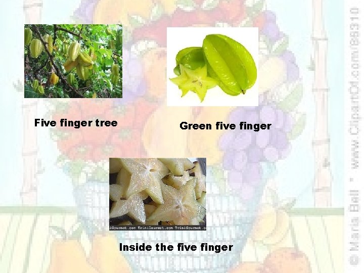 Five finger tree Green five finger Inside the five finger 