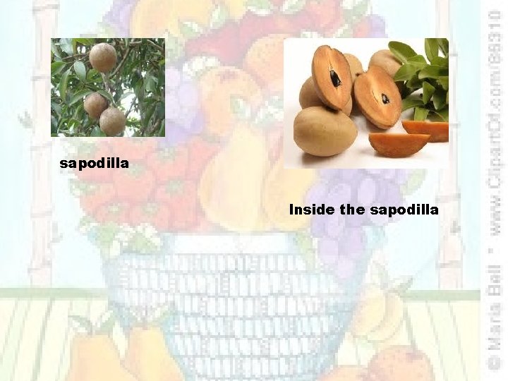 sapodilla Inside the sapodilla 