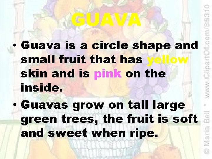 GUAVA • Guava is a circle shape and small fruit that has yellow skin